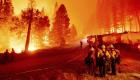 حريق يجتاح 55 كيلومتراً في أمريكا
