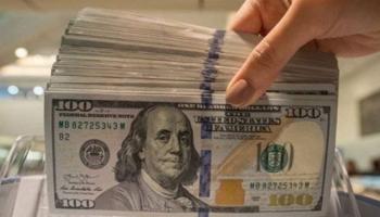 استقرار سعر الدولار في مصر