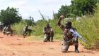 الجيش النيجيري يقتل 24 إرهابيا شمال شرقي البلاد