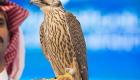 EN PHOTOS.. Le faucon le plus cher aux enchères de la 2è édition du Saudi Falcons Club