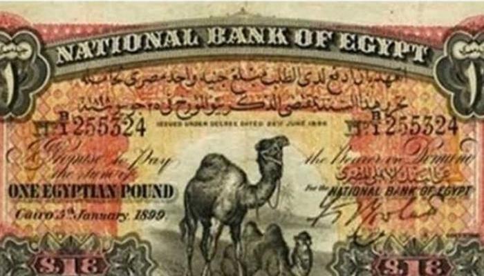 أسعار وأماكن بيع العملات المصرية القديمة