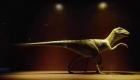Çin'de 65 milyon yıllık dev dinozor fosili bulundu