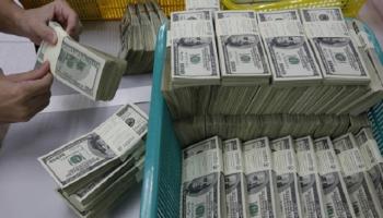 استقرار سعر الدولار اليوم في مصر 