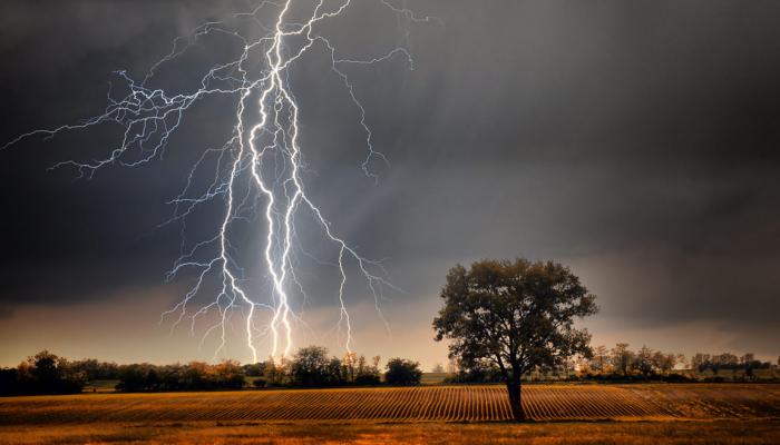 صواعق البرق تتسبب في مقتل نحو 24 ألف شخص سنويا