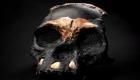 اكتشاف جمجمة طفل عمرها 250 ألف عام داخل كهف