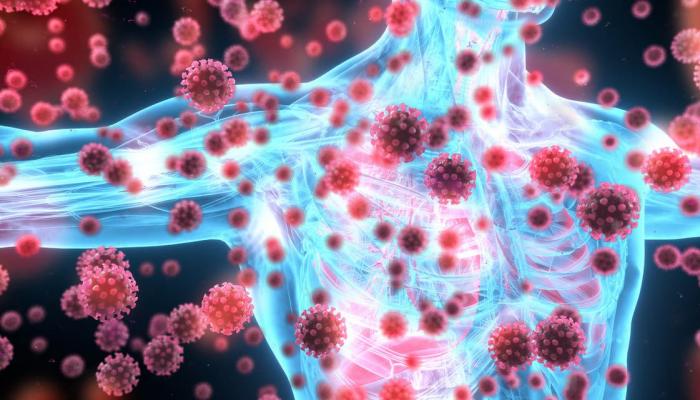 مستوى الأجسام المضادة لدى كبار السن المتعافين أعلى مما لدى الشباب