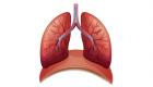 Akciğerleri temizlemenin 4 etkili yolu