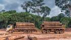 غابات الأمازون تتآكل.. رئة الأرض في خطر
