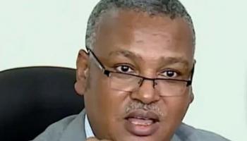 المتحدث باسم الحكومة الإثيوبية لغسي تولو