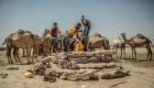 La Somalie débloque un million de dollars d'aide pour répondre à la sécheresse