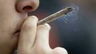 France: Le cannabis demeure la drogue la plus consommée dans le pays, selon une étude
