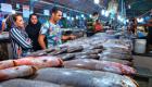 افزایش ۸۰ درصدی قیمت ماهی در بازارهای ایران 