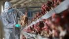 رصد إصابة بشرية بإنفلونزا الطيور في الصين