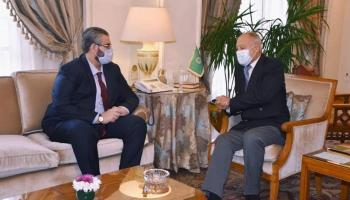 مندوب ليبيا والأمين العام للجامعة العربية أحمد أبو الغيط