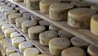 Le Brésil, terroir méconnu de fromages  d'excellence
