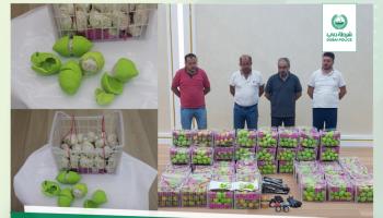 صورة للمتهمين عرضتها شرطة دبي