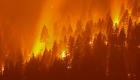 الحرائق تلتهم آلاف الهكتارات من غابات الأرجنتين