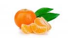 إنفوجراف.. 9 فوائد رائعة لفاكهة اليوسفي