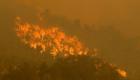 صور.. حرائق غابات تأتي على 71 منزلا في أستراليا