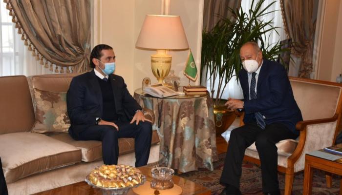 جانب من لقاء أبو الغيط والحريري