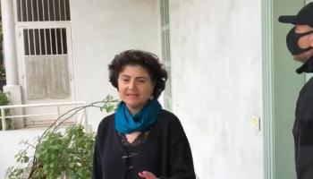 رشا الأمير 