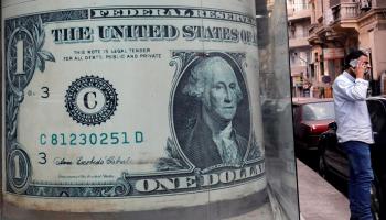 استقرار سعر الدولار في مصر