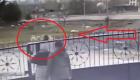 Malatya'da sokak köpekleri kadına saldırdı! korkunç anlar kamerada