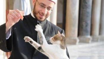 Le conseiller du président égyptien pour les affaires religieuses, Osama Al-Azhari,