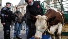 Menu unique sans viande à Lyon : Les éleveurs manifestent contre la décision des Verts