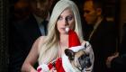 Lady Gaga, köpeklerini bulan kişiye yarım milyon dolar teklif etti!