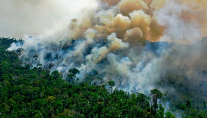 حرائق في غابات الأمازون المطيرة