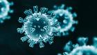 اكتشاف سلالة جديدة من فيروس كورونا في فرنسا