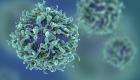 Bilim adamları kansere karşı "bağışıklık hücreleri" geliştirdi