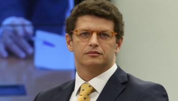 وزير البيئة البرازيلي ريكاردو ساليس