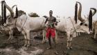 15 قتيلا في هجمات جديدة بسبب "الأبقار" بجنوب السودان