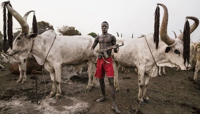 أحد الأشخاص خلال حراسة معسكر للأبقار في جنوب السودان- أرشيفية