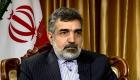 سخنگوی سازمان انرژی اتمی ایران دچار حادثه شد