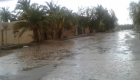 سیلاب در کرمان | خسارت ۲ میلیارد تومانی به شهداد