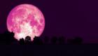 ستاره‌شناسان در انتظار پدیده نادر «ماه صورتی» در آسمان شب