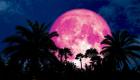 القمر الزهري العملاق يزين السماء في 26 أبريل.. استعدوا
