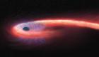 فيديو.. دراسة ترصد دور الثقب الأسود في "نجم السباغيتي"