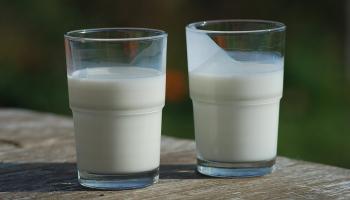 علماء روس يطورون لقاحا جديدا ضد كورونا على شكل حليب مخمر