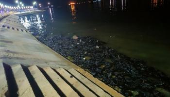 تسرب نفطي يلوث كورنيش طبرق في ليبيا