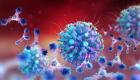 Maroc et Algérie: Des infections de la souche indienne de Coronavirus ont été détectées