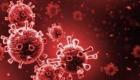 DSÖ'nden Al-Ain Al-İhbariyya'ya: Mısır'daki Koronavirüs varyantı tehlikeli değil