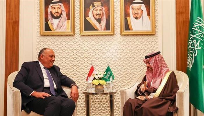 لقاء سابق بين سامح شكري والأمير فيصل بن فرحان