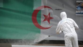 كورونا في الجزائر