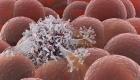 علماء يتوصلون لمُركبات يمكنها القضاء على خلايا سرطان الكبد والثدي