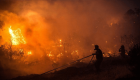 Yunanistan'da orman yangınları nedeniyle Yüzlerce kişi tahliye edildi
