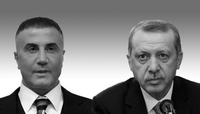أردوغان وزعيم المافيا التركية